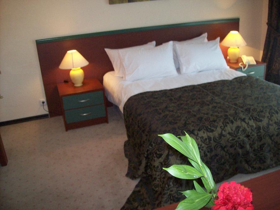 Teb Dora Hotel 安卡拉 客房 照片